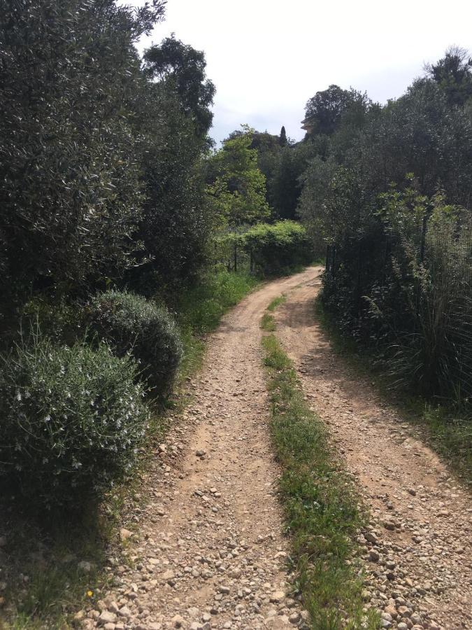 Cottage Pura Vigna Immerso Nella Natura Vicino Al Mare Porto Santo Stefano  Exterior foto