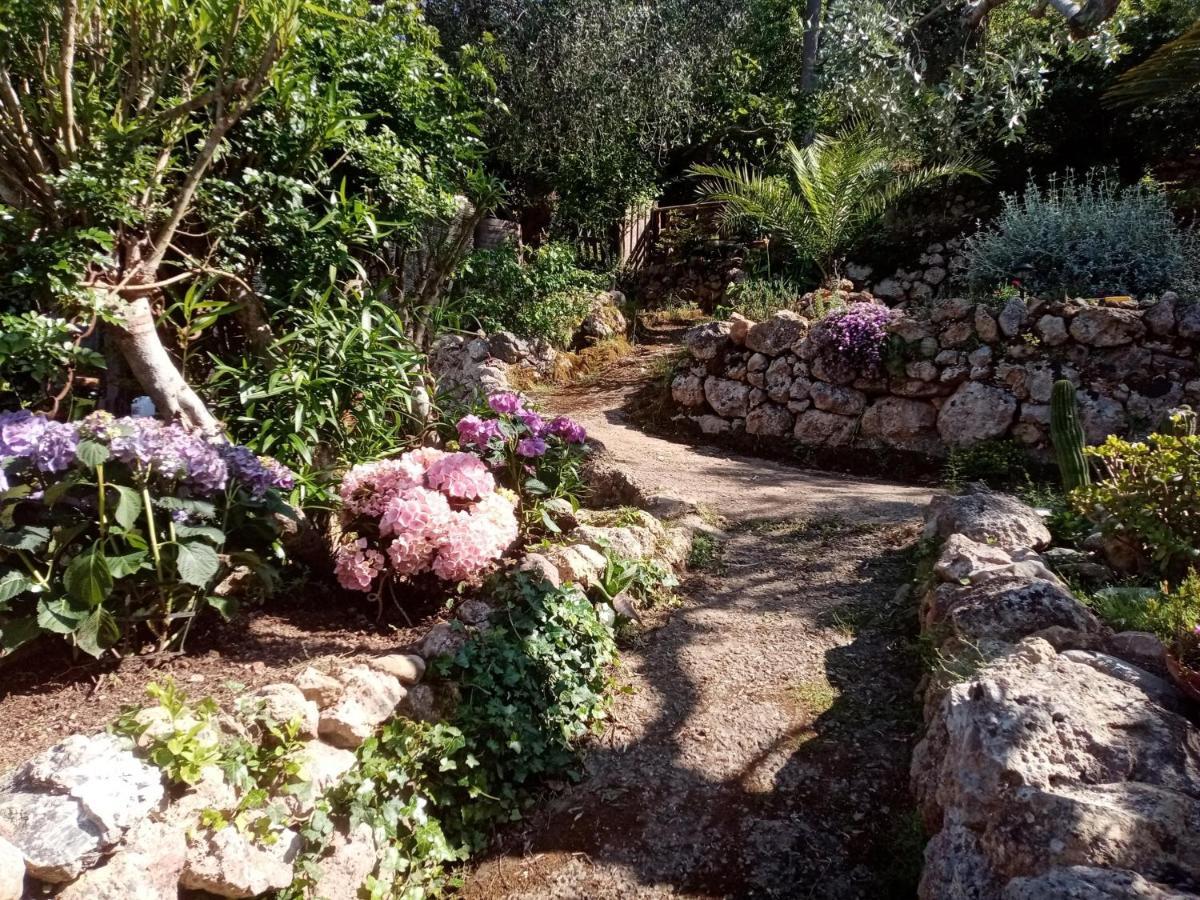 Cottage Pura Vigna Immerso Nella Natura Vicino Al Mare Porto Santo Stefano  Exterior foto